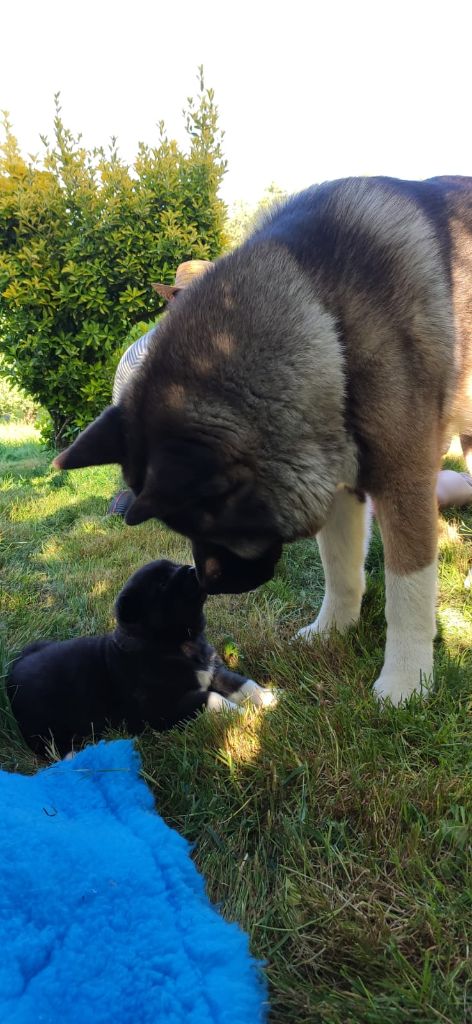 Photos des 1 mois !